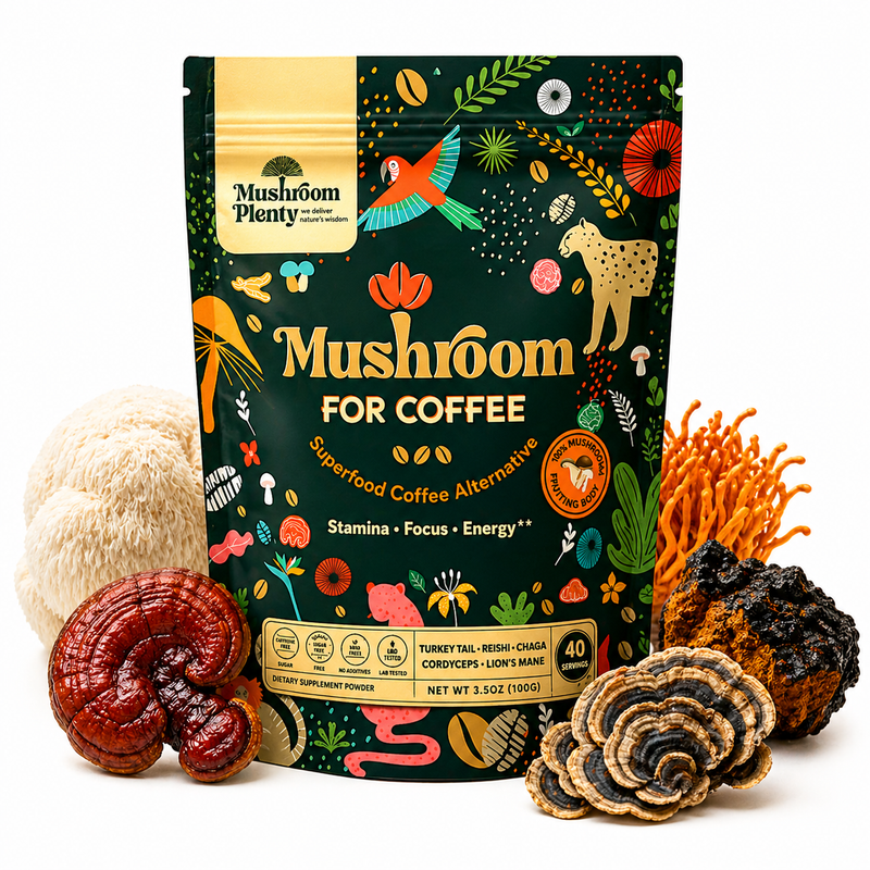 Mushroom Plenty 5 Mushroom Extract Powder